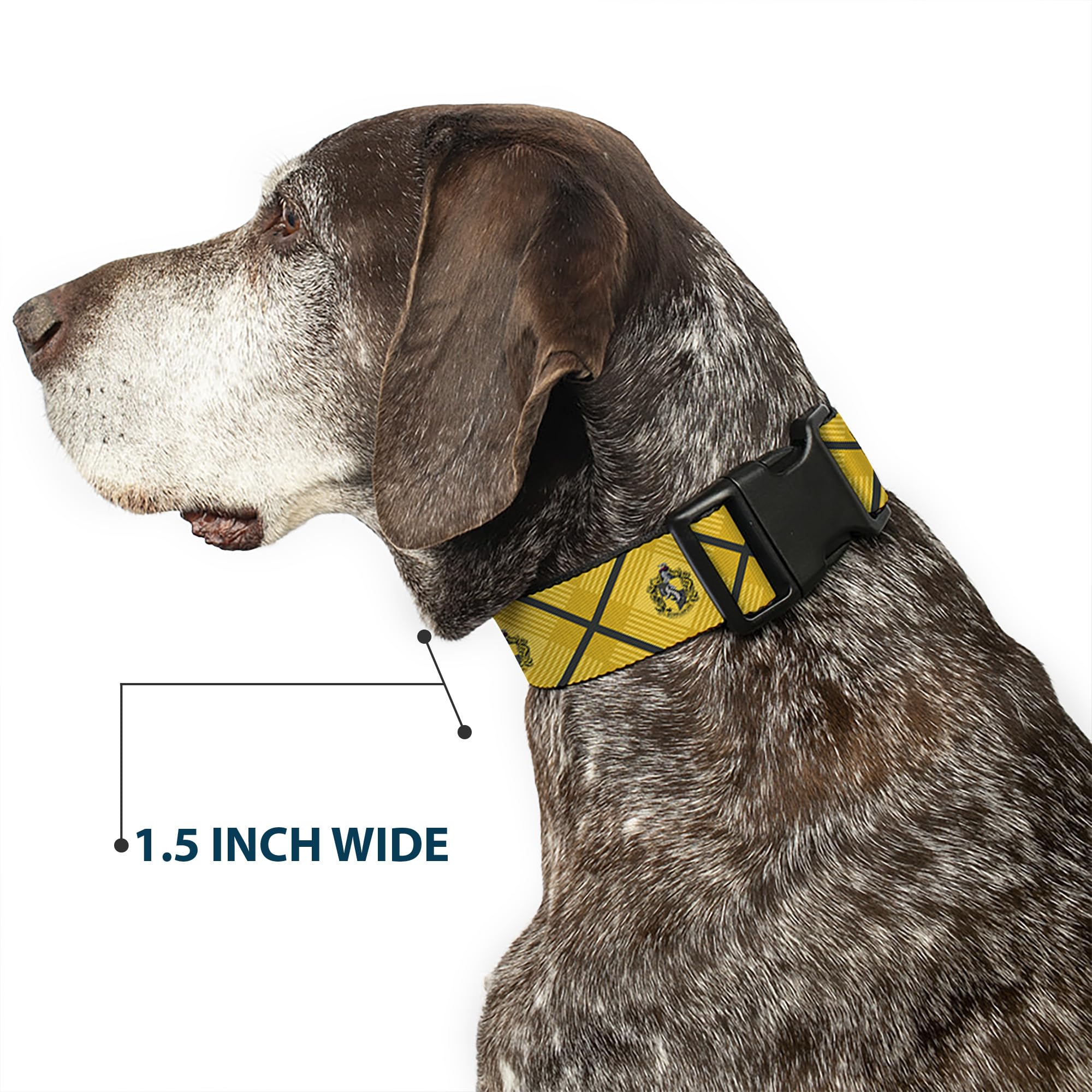 Buckle-Down collar compatible with matching leashes for complete look.