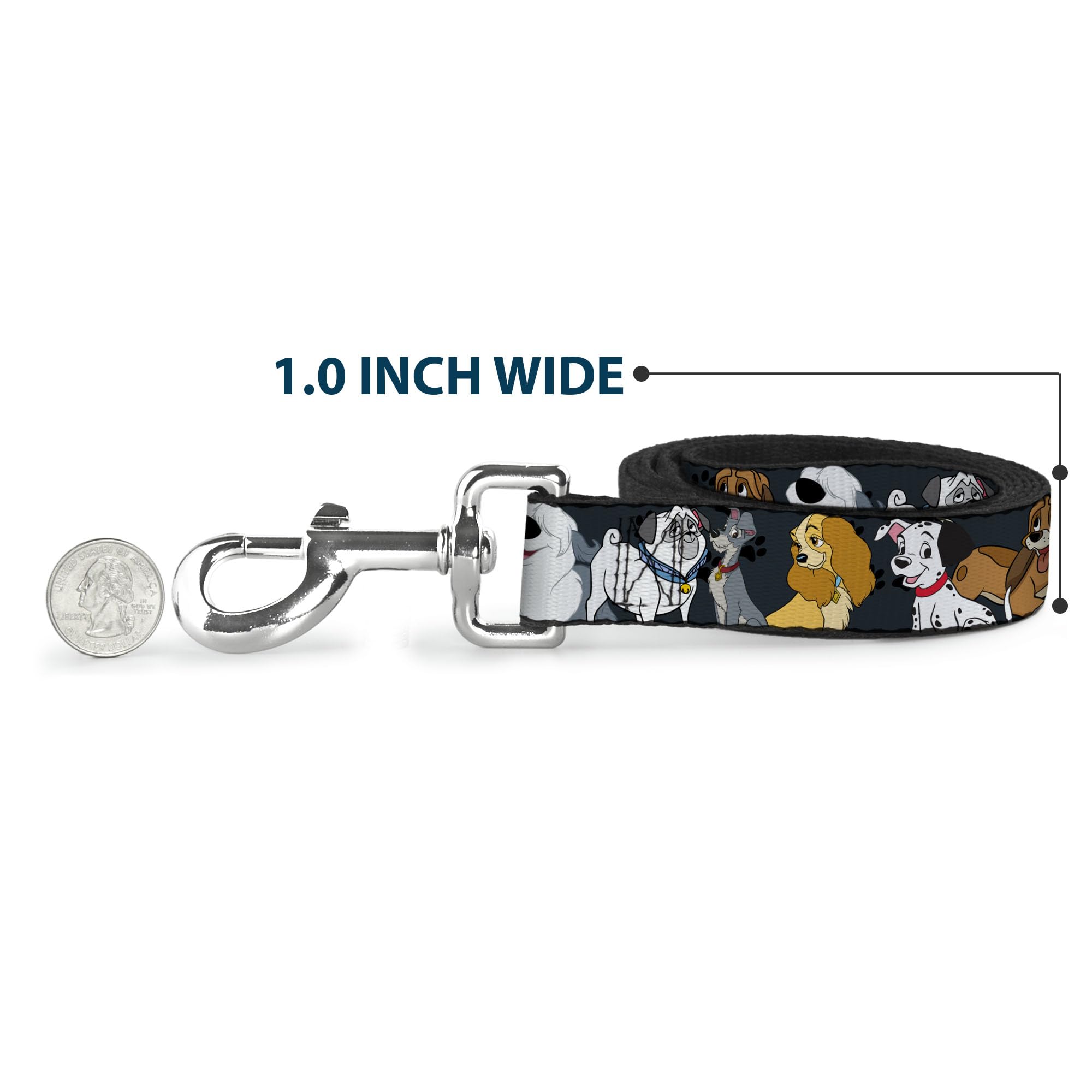 Buckle-Down dog leash matching-collar option expands styling for walks.