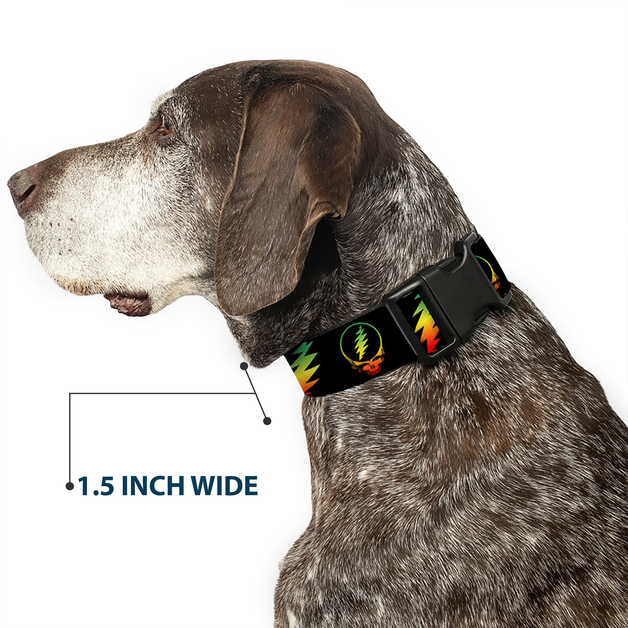 Buckle-Down matching leash option for coordinated looks.