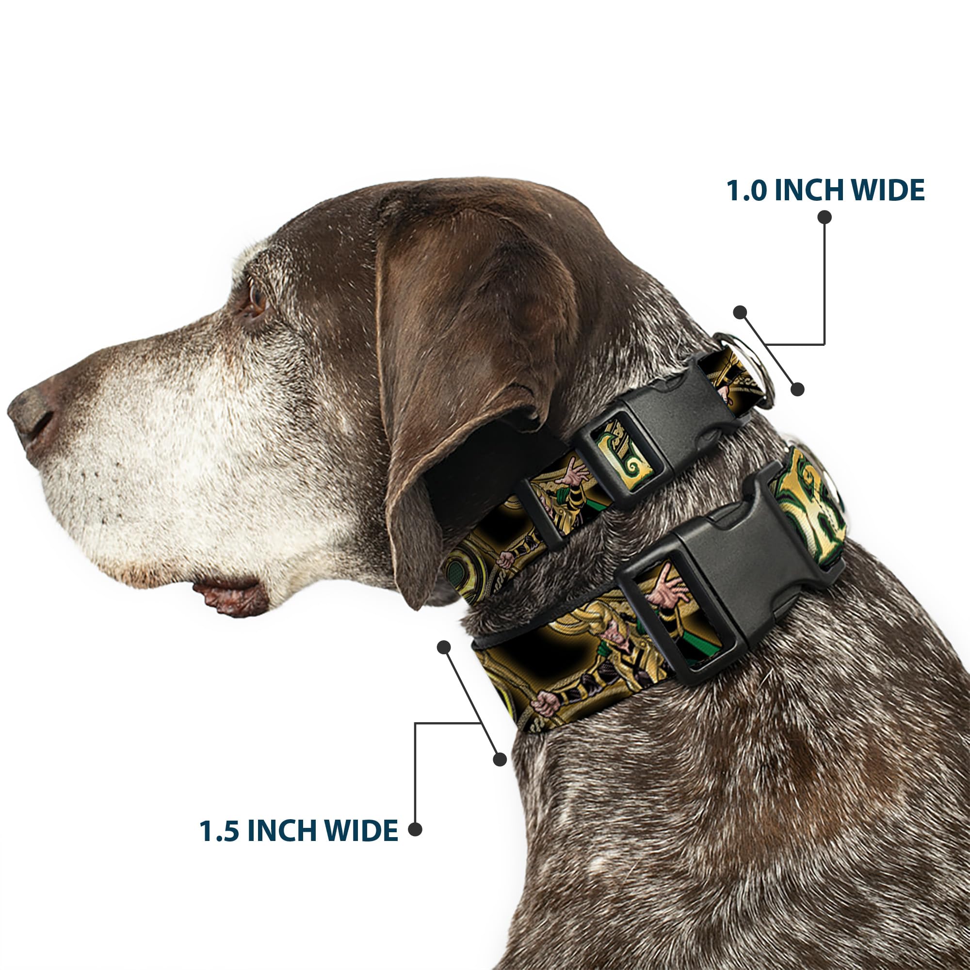 Buckle-Down Loki closeup shows plastic clip buckle and vibrant colors for durable daily use
