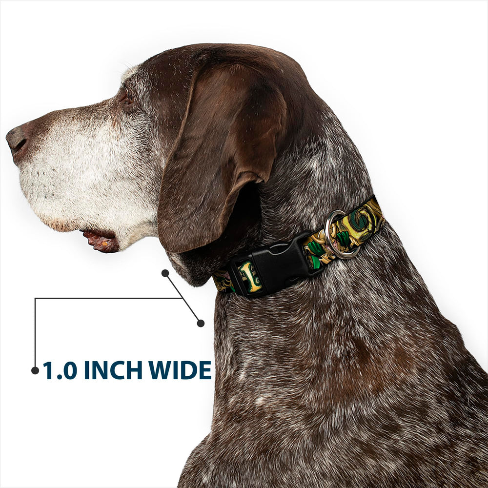 Buckle-Down Loki posing outdoors illustrates flexible neck fit 18-32 inches for mid-range sizing