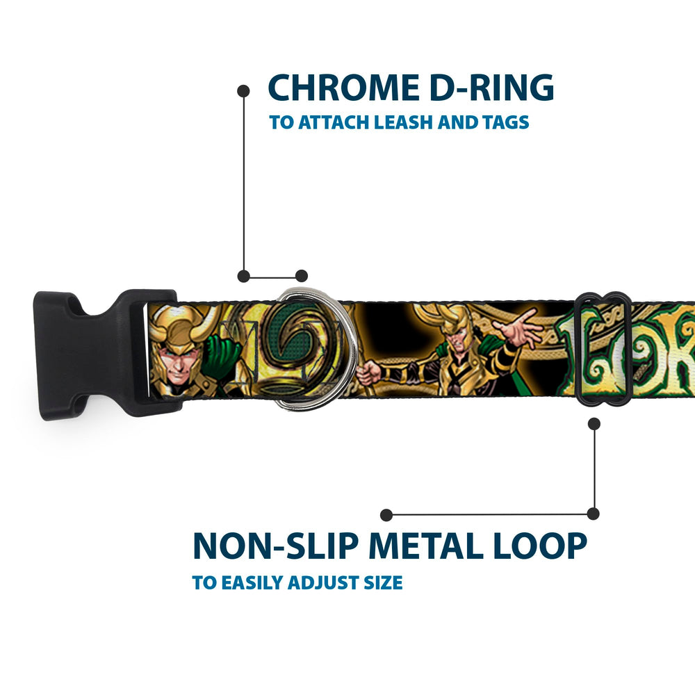 Buckle-Down Loki closeup demonstrates reinforced construction for lasting wear and safe control