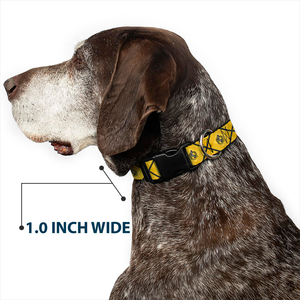Buckle-Down collar fits 11 to 16.5 inches for versatility.