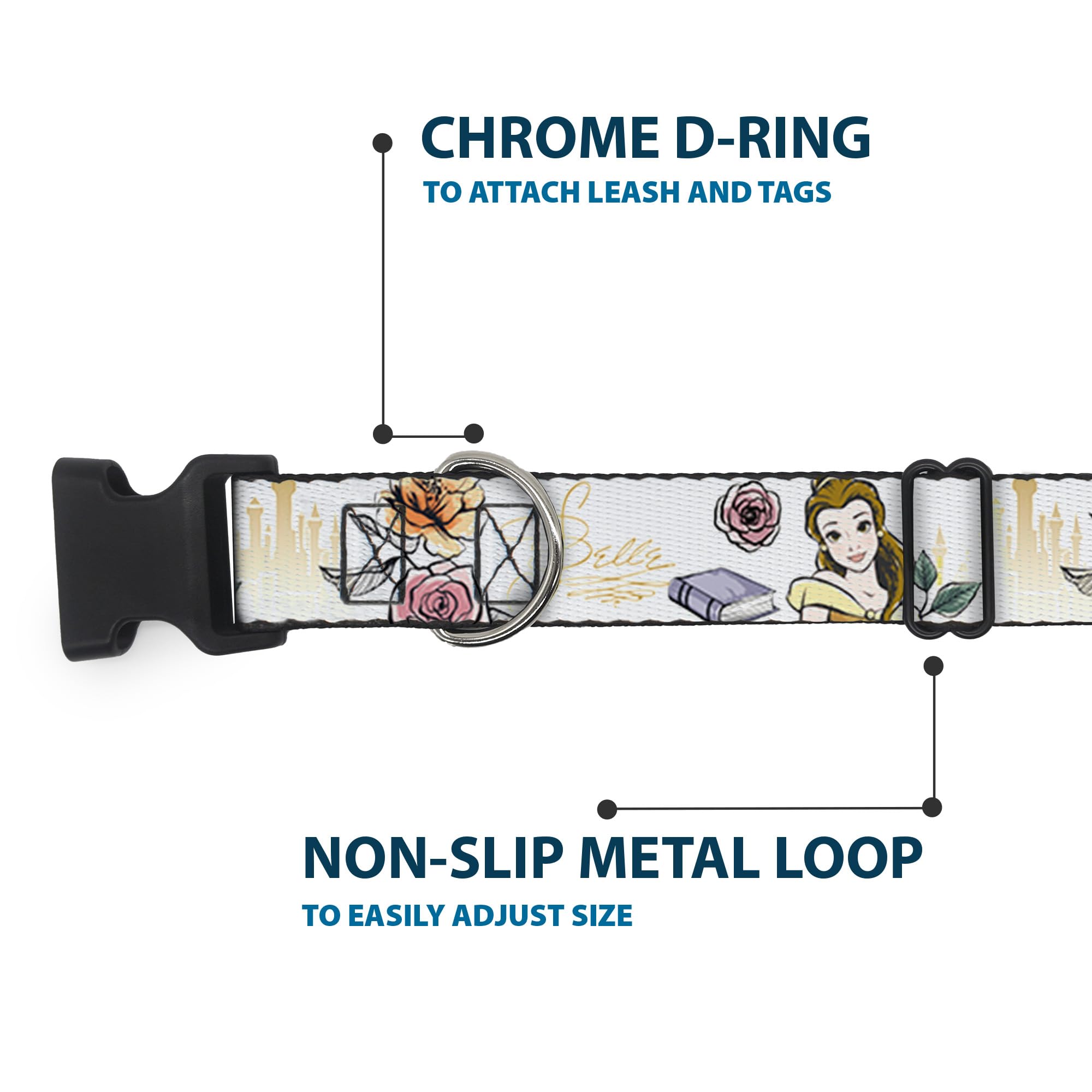 buckle-down dog collar strong d-ring supports leash attachments during playful outings