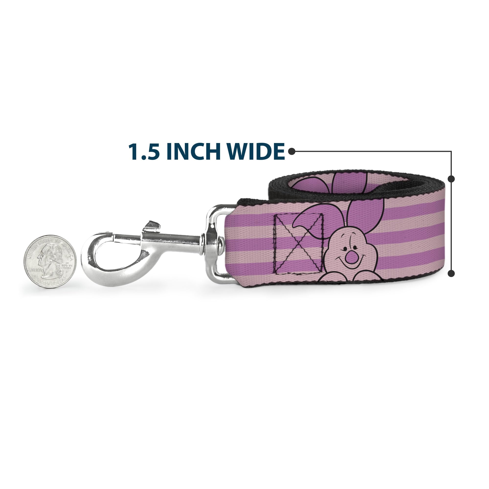 Buckle-Down leash matching collar banner showcases coordinated style