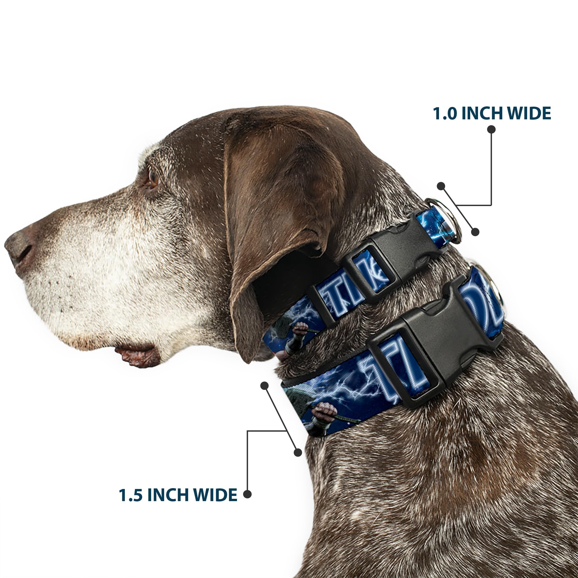 Buckle-Down Marvel collar in galaxy blues adds bold style during adventures.
