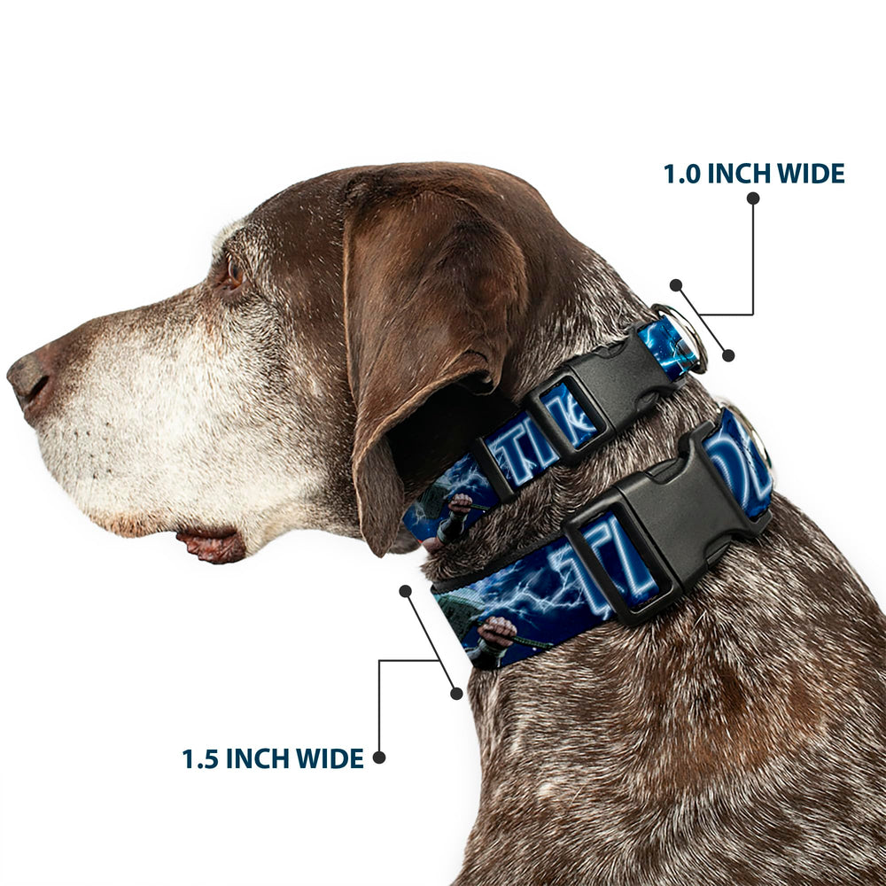 Buckle-Down Marvel collar in galaxy blues adds bold style during adventures.