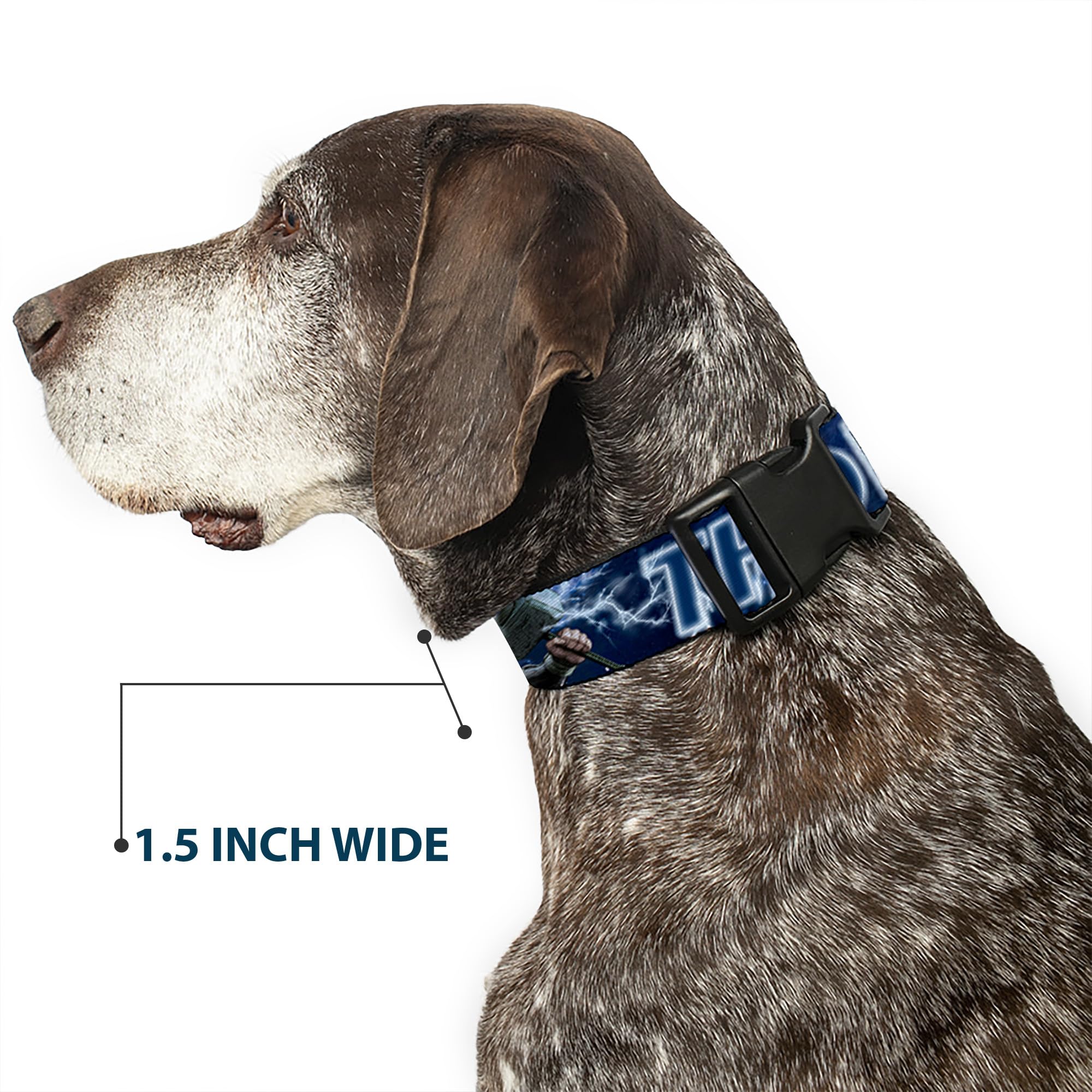 Buckle-Down Marvel collar pairs with matching leads for coordinated walks.