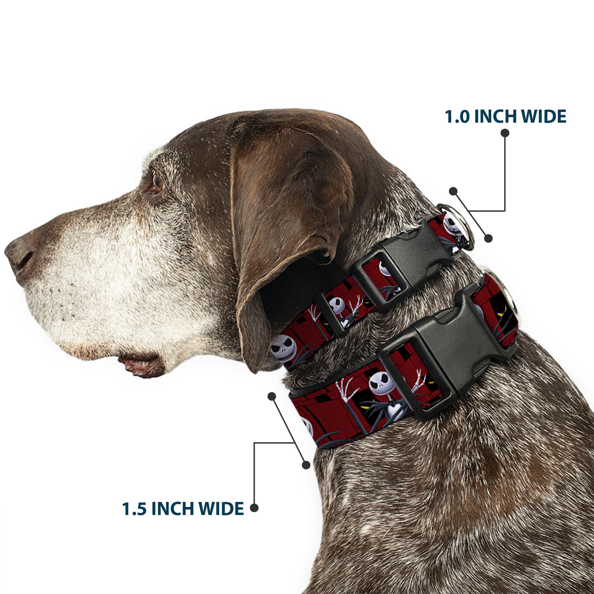 Buckle-Down NBC peeping eyes collar close-up highlighting bold licensed graphics for parks