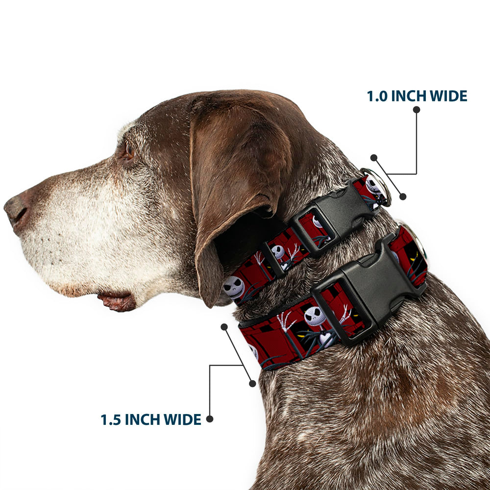 Buckle-Down NBC peeping eyes collar close-up highlighting bold licensed graphics for parks