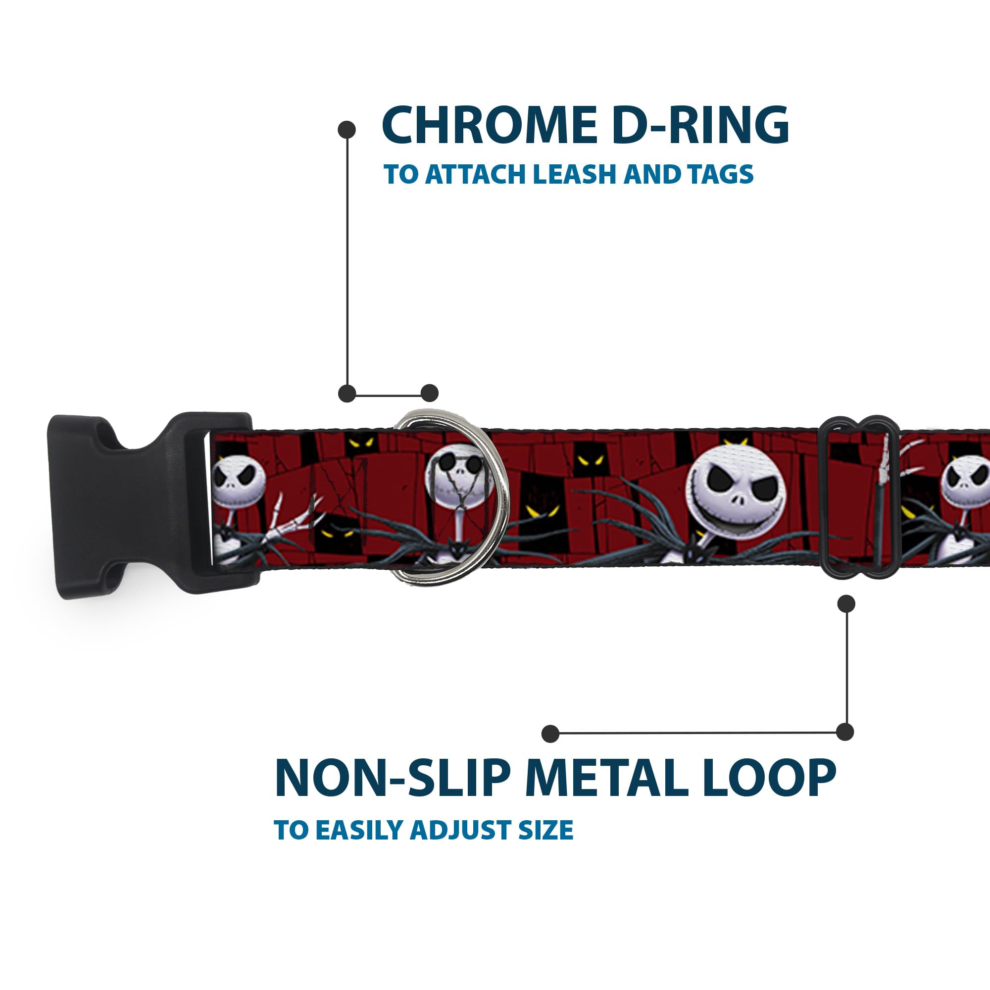Buckle-Down plastic buckle and D-ring highlight secure leash connections