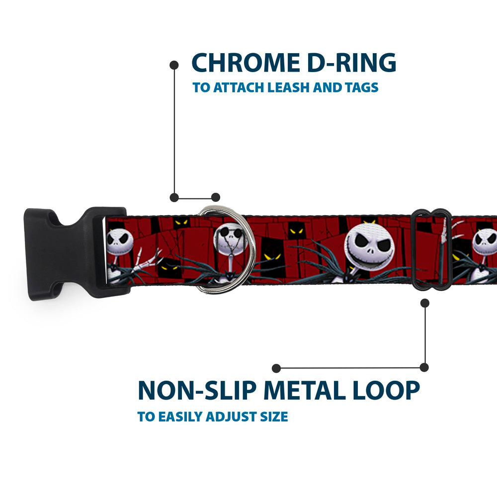 Buckle-Down plastic buckle and D-ring highlight secure leash connections