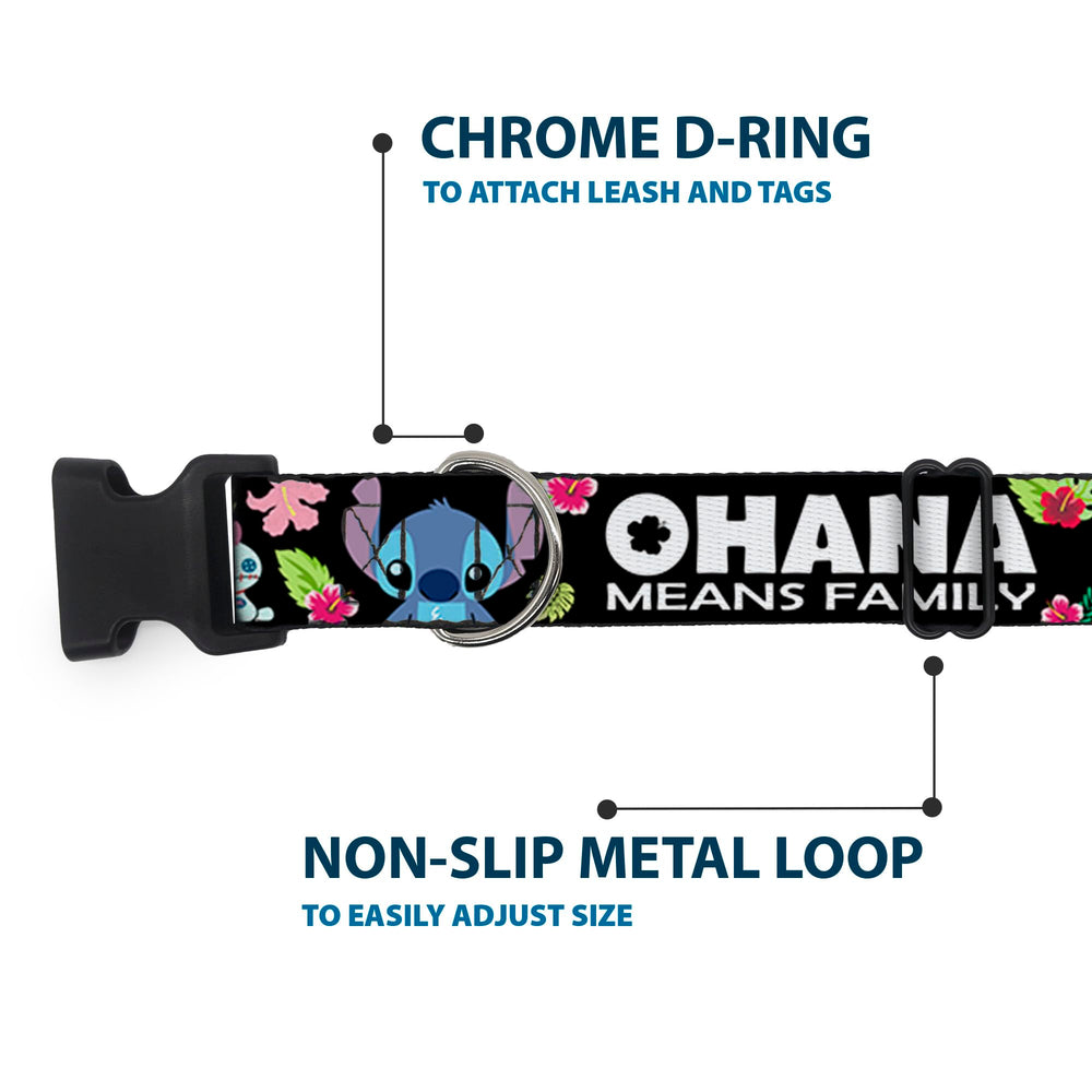 Buckledown Ohana 1 inch wide collar provides a comfortable, secure fit
