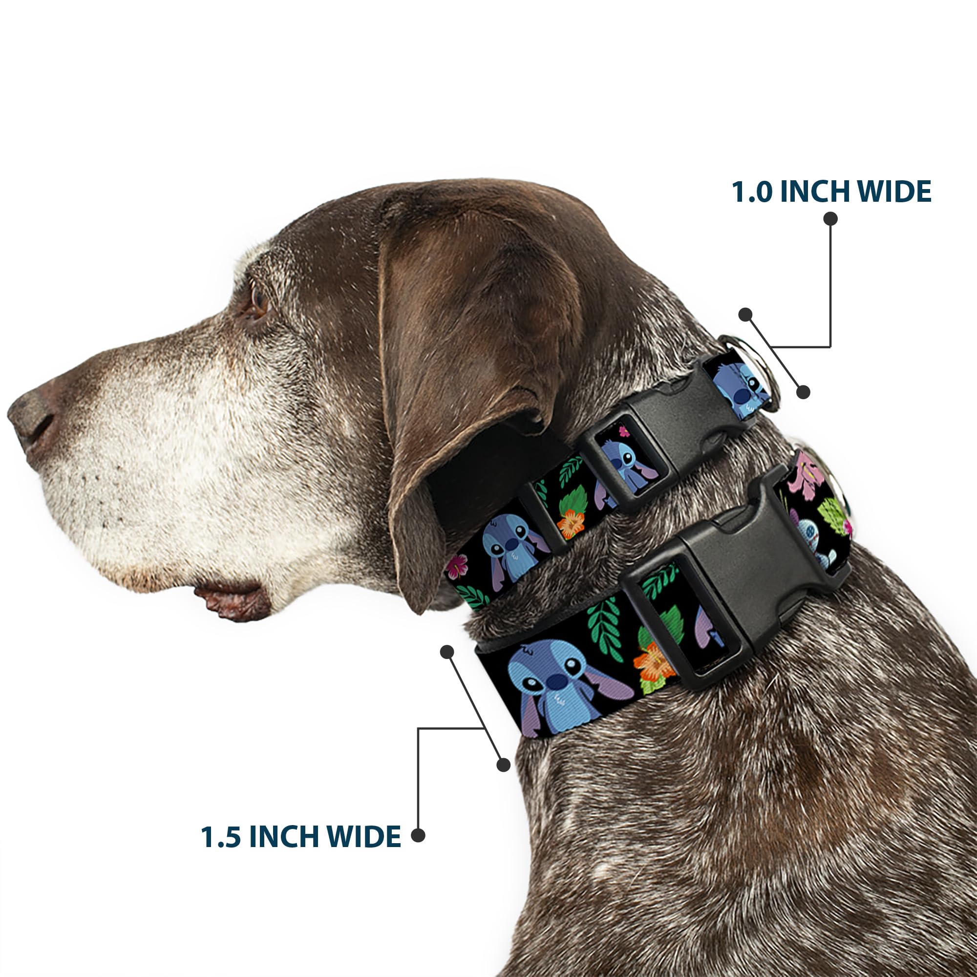 Buckledown Ohana Stitch Scrump poses collar showcases playful Disney-inspired design for daily adventures