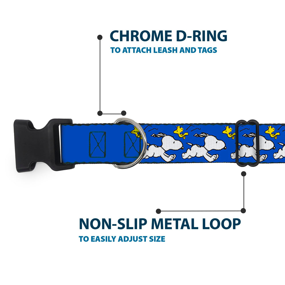 D-ring attachment on Buckle-Down Peanuts collar provides reliable leash connection.