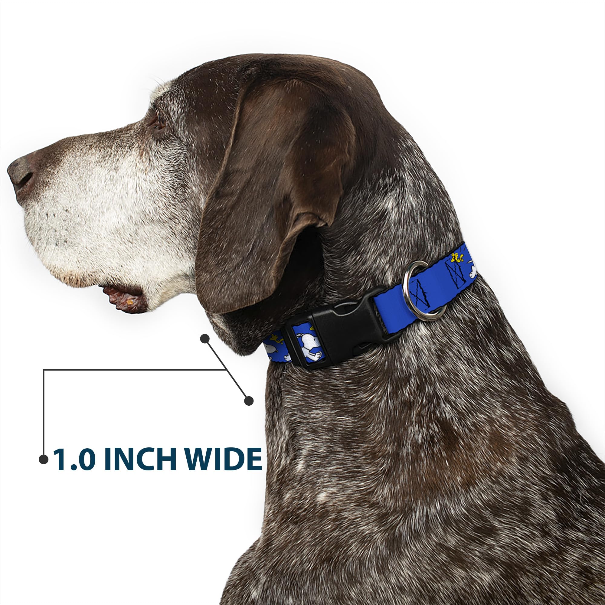 USA-made Buckle-Down Peanuts collar demonstrates domestic craftsmanship.