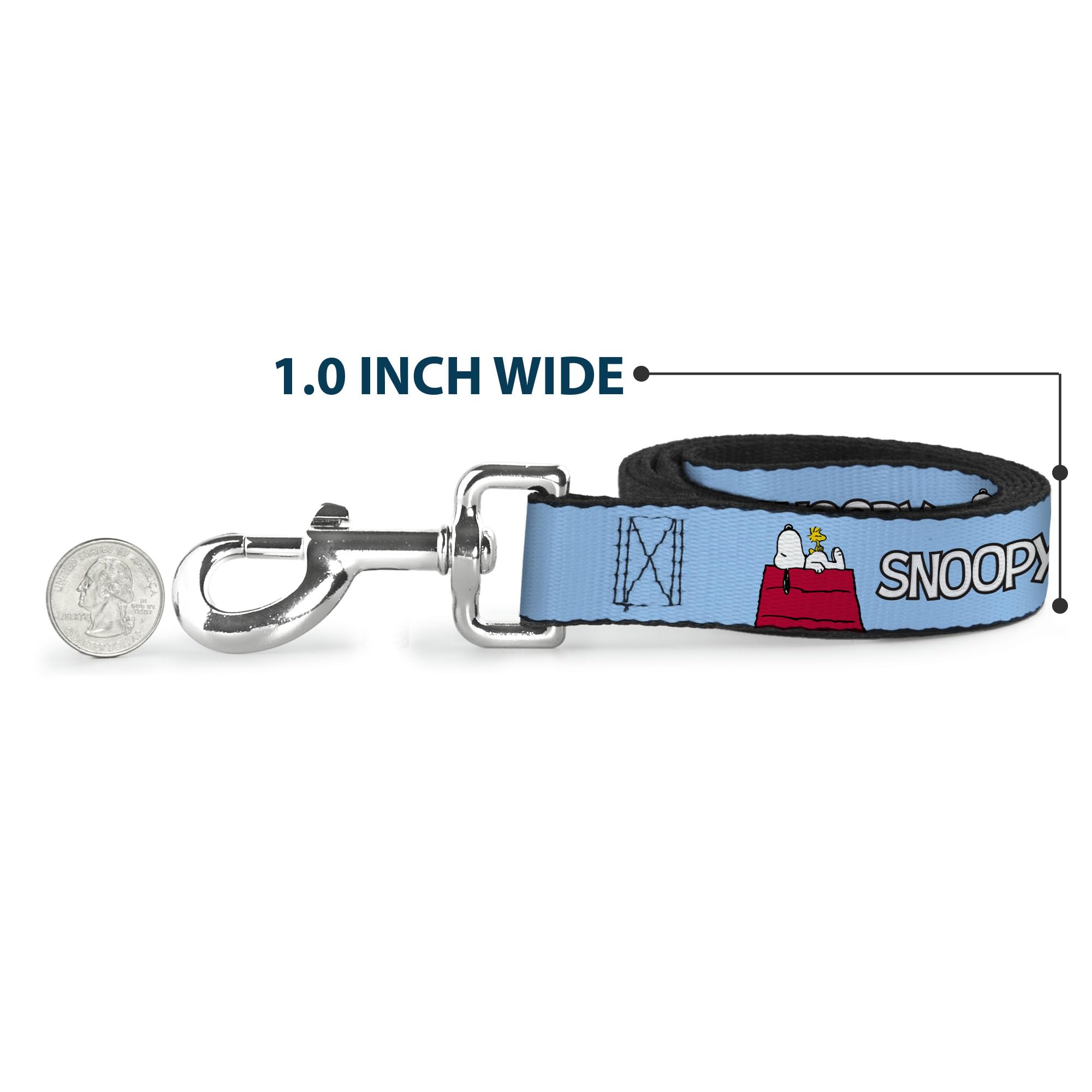 Sky-blue Buckle-Down leash detail showing length options and collar pairing.