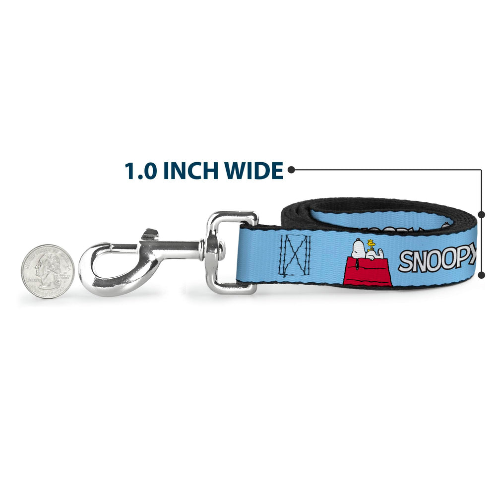 Sky-blue Buckle-Down leash detail showing length options and collar pairing.