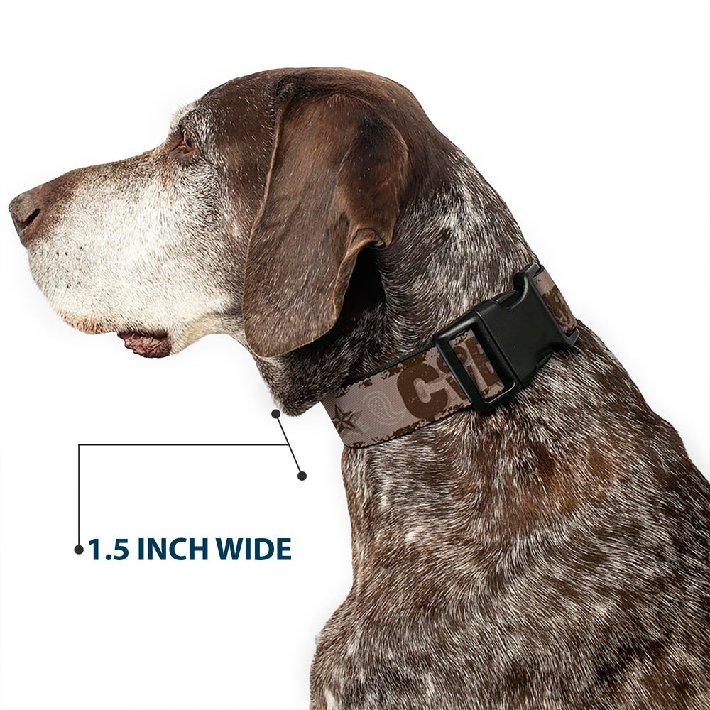 Vibrant tan browns palette suitable for multiple seasons and breeds.