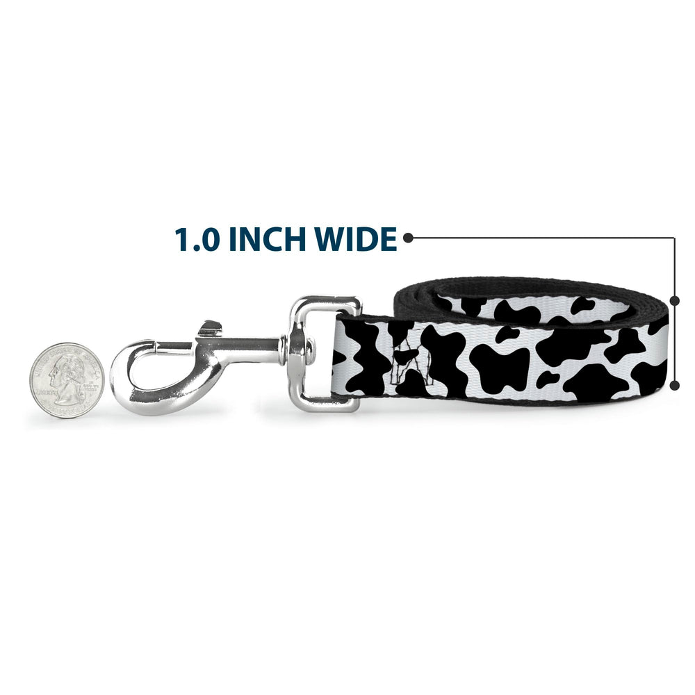 Buckle-Down leash with matching collar option for coordinated pet fashion