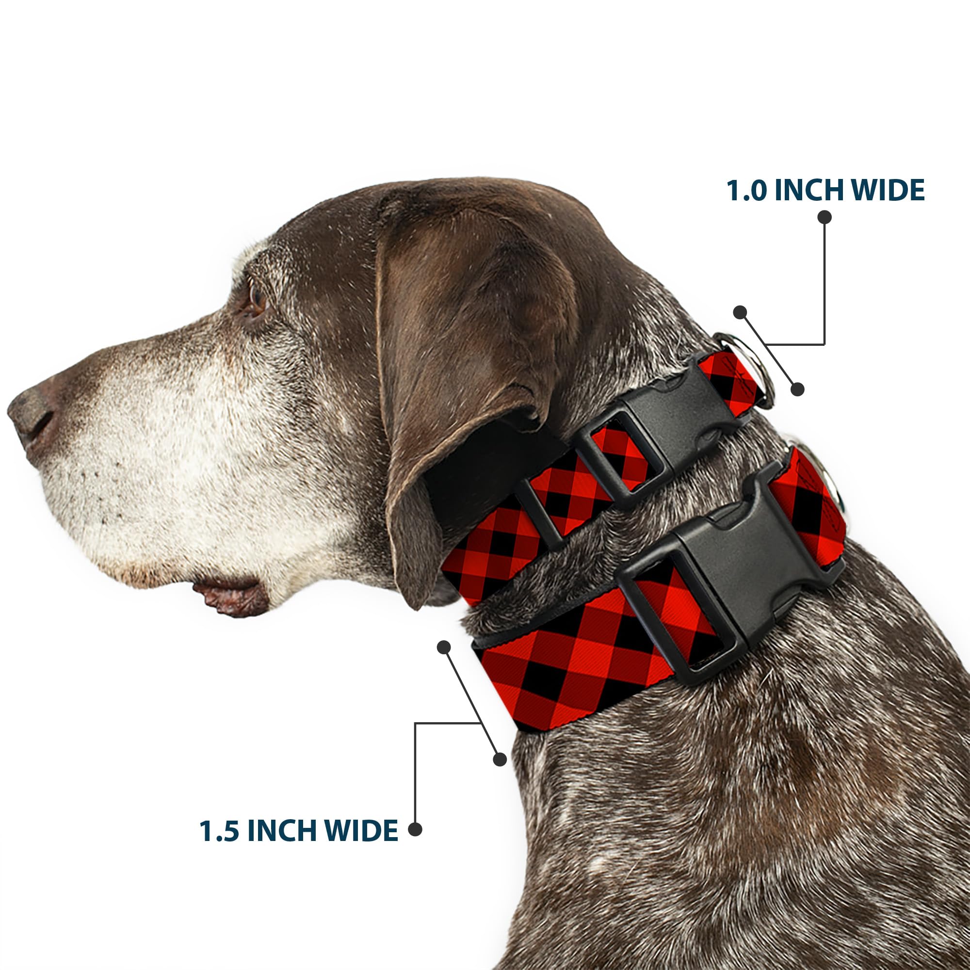 Buckledown plastic-buckle-closeup highlights durable hardware for active dogs.