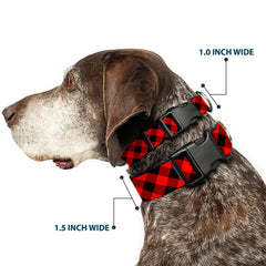 Buckledown plastic-buckle-closeup highlights durable hardware for active dogs.