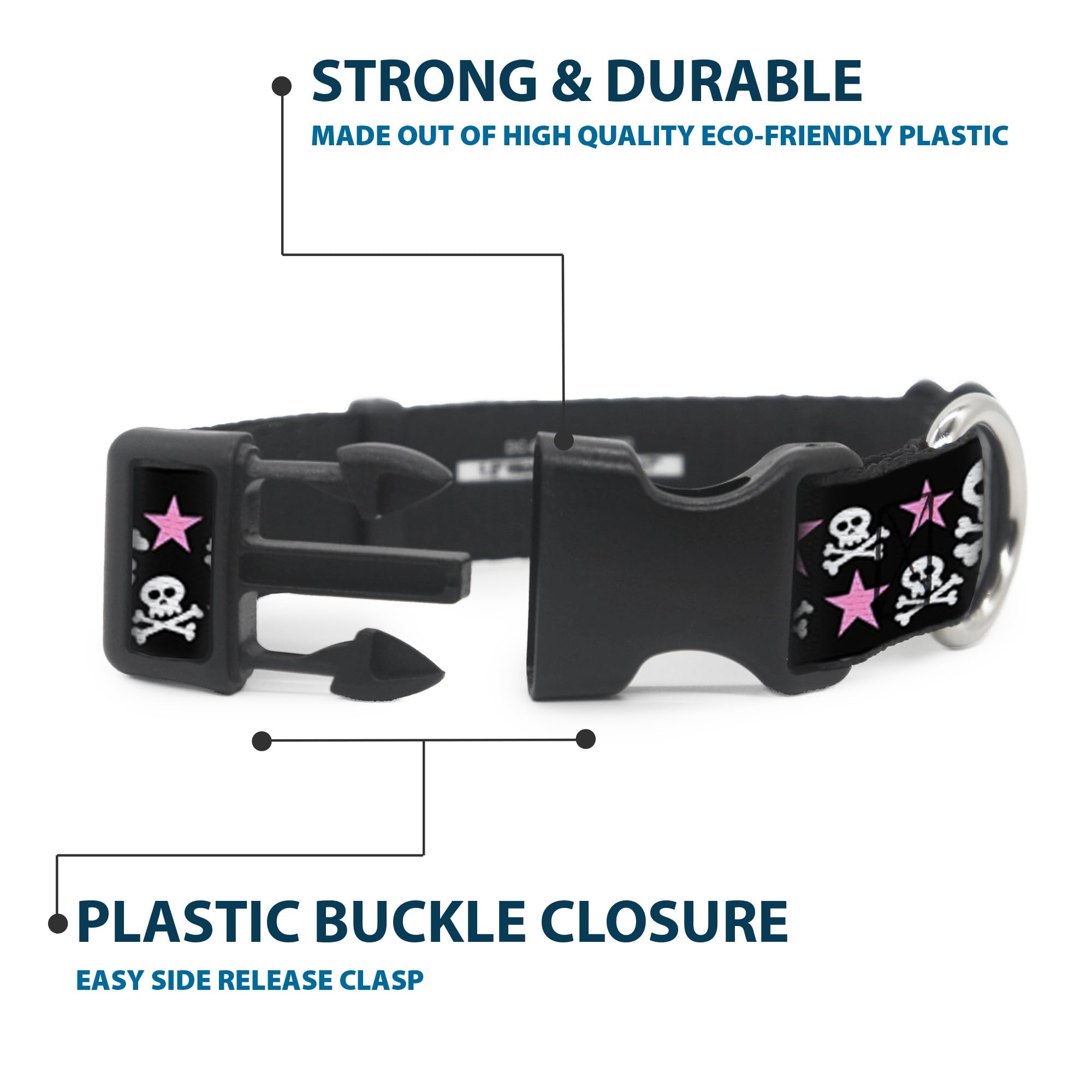 Buckle-Down collar on a dog neck 9-15 inches.
