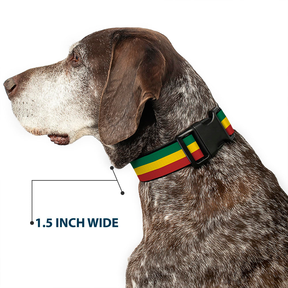 Buckle-Down Rasta collar with matching lead option for coordinated looks on walks