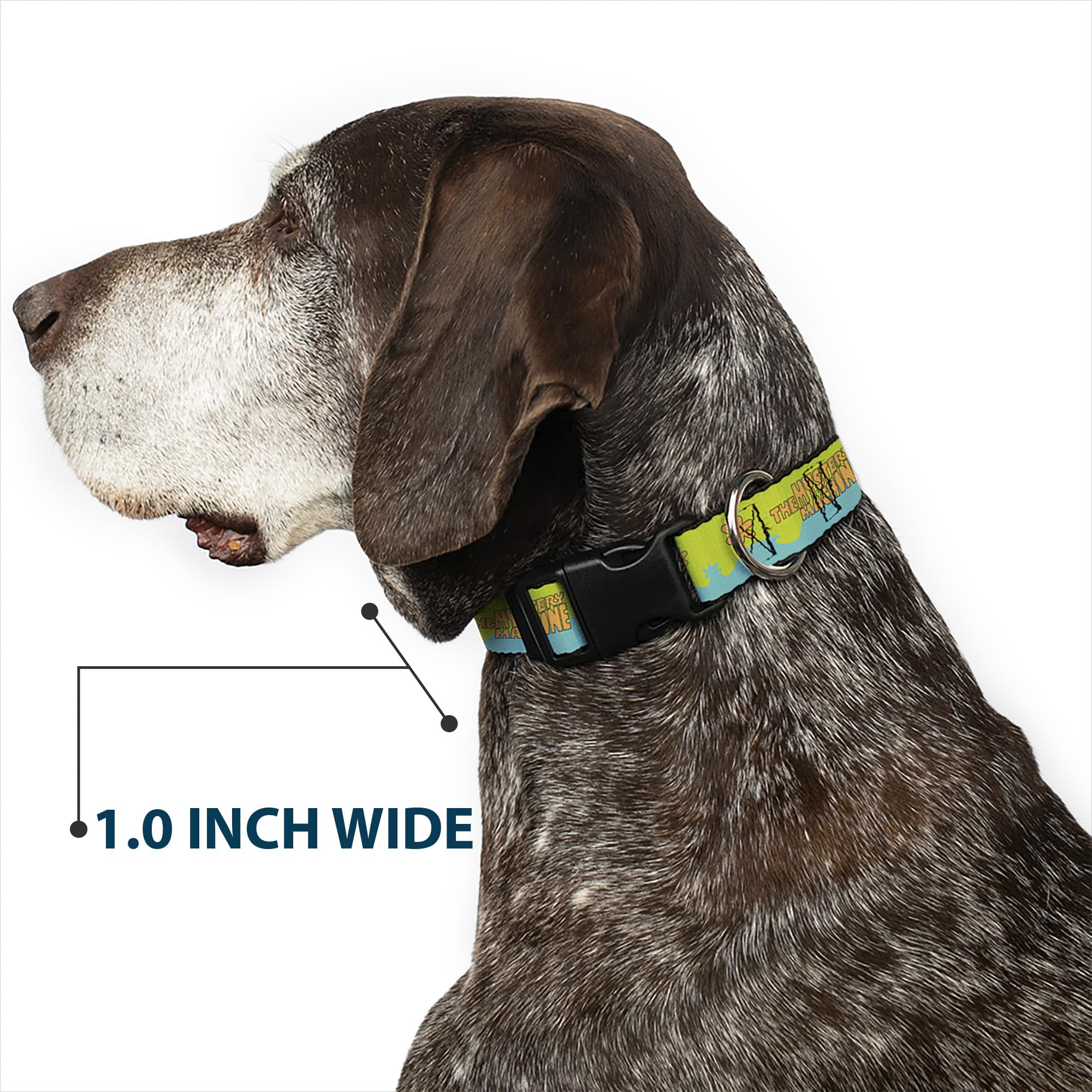 Buckle-Down Scooby Doo collar fabric close-up emphasizes durable polyester.