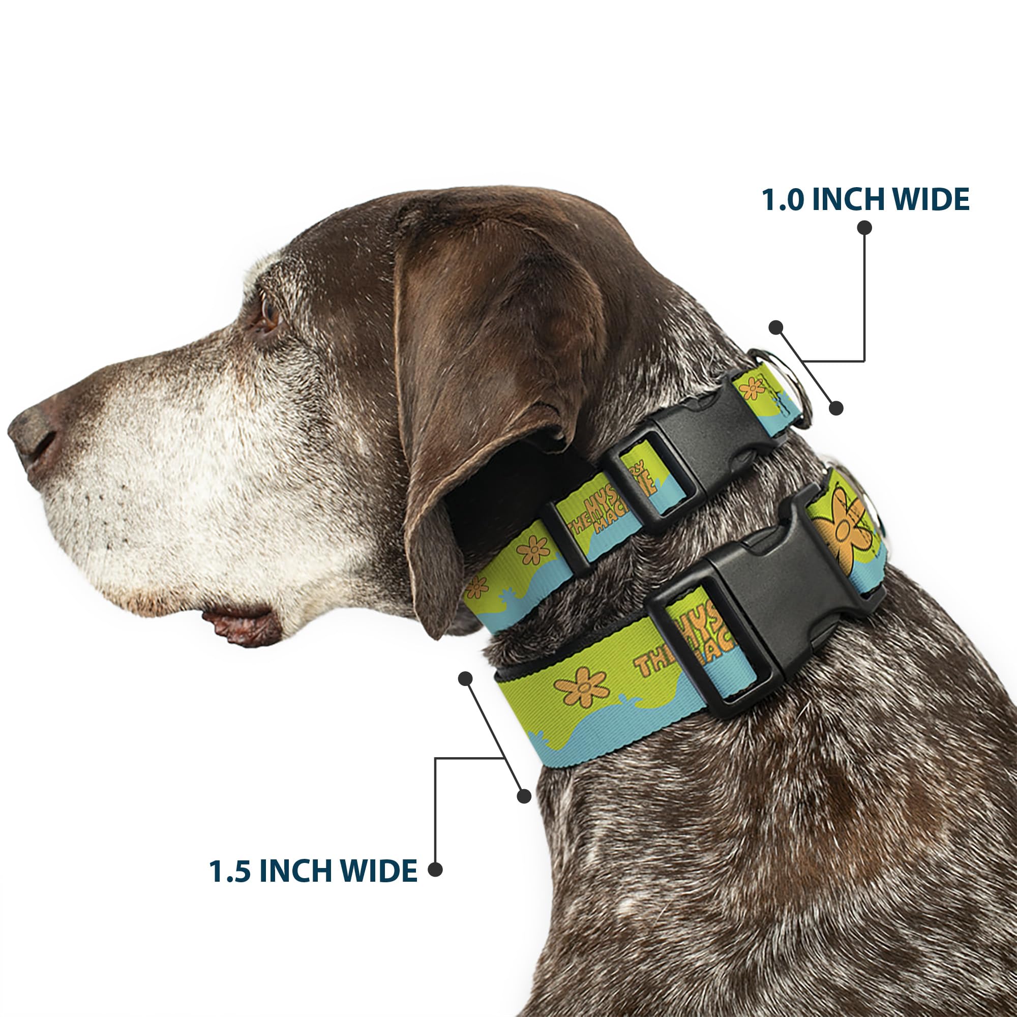 Buckle-Down Scooby Doo collar side view shows vibrant paint for eye-catching style.