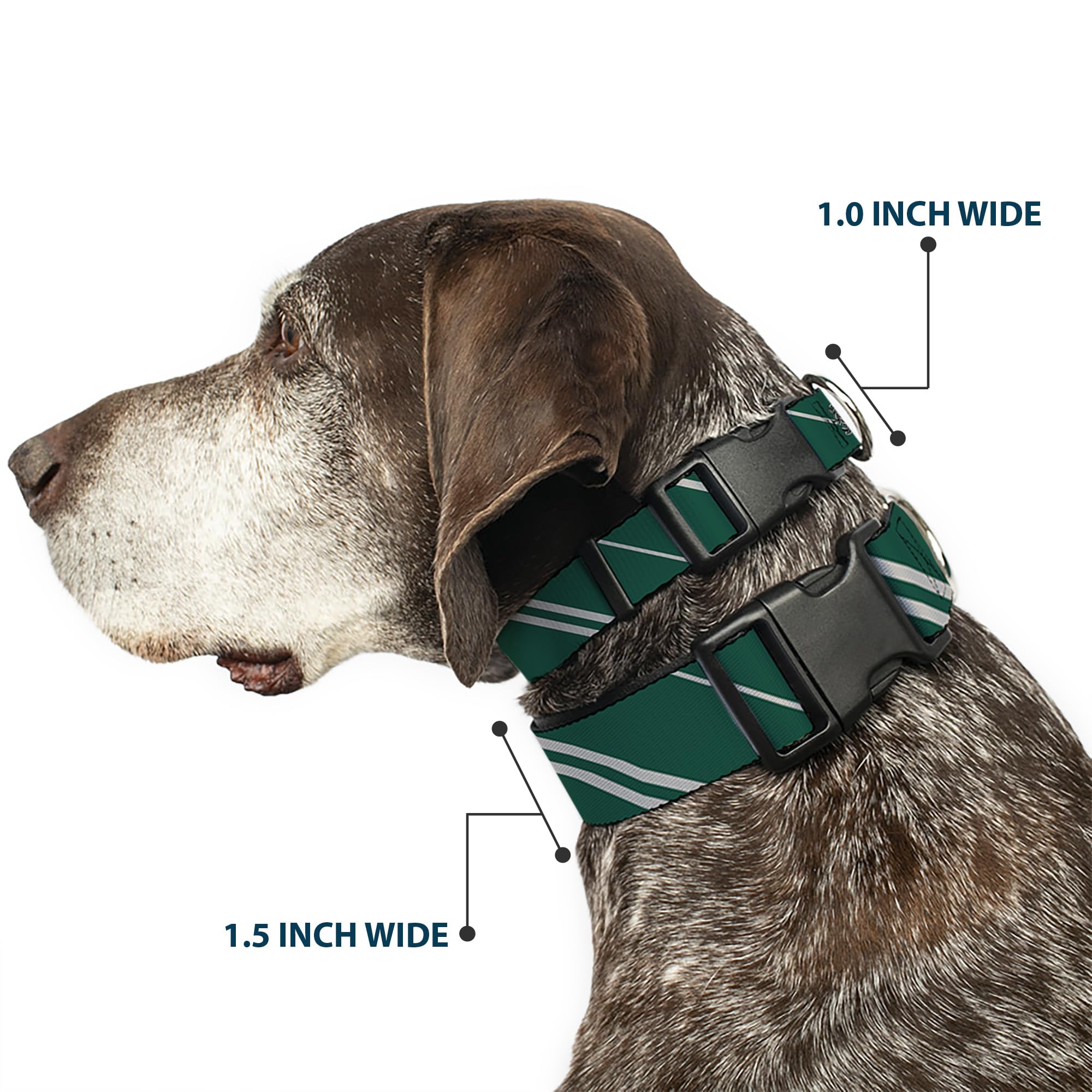 Buckle-Down slytherin crest stripe5 green gray full collar showcases bold style for seasonal outings