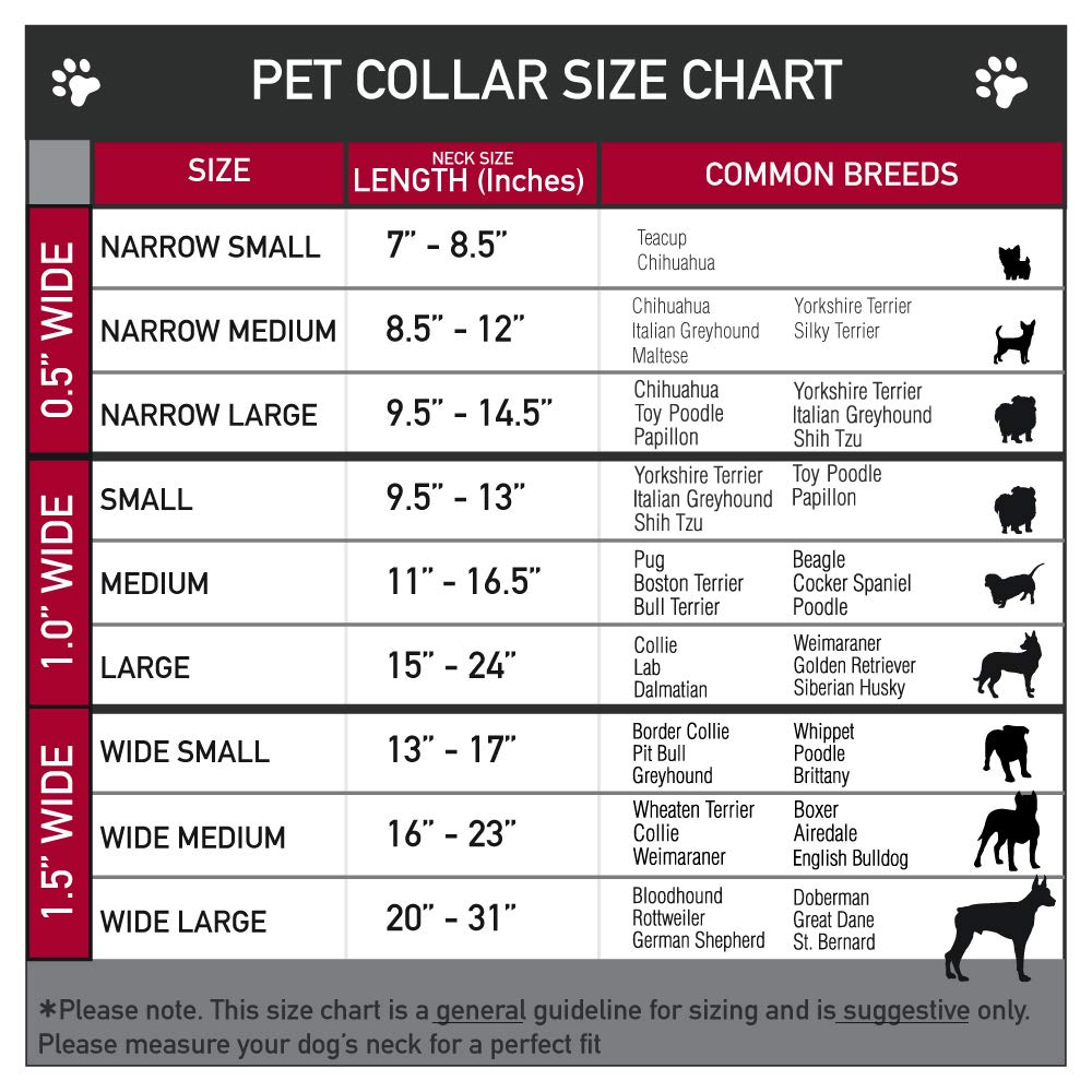 Buckle-Down Star Wars matching-leads-available; complete coordinated set.