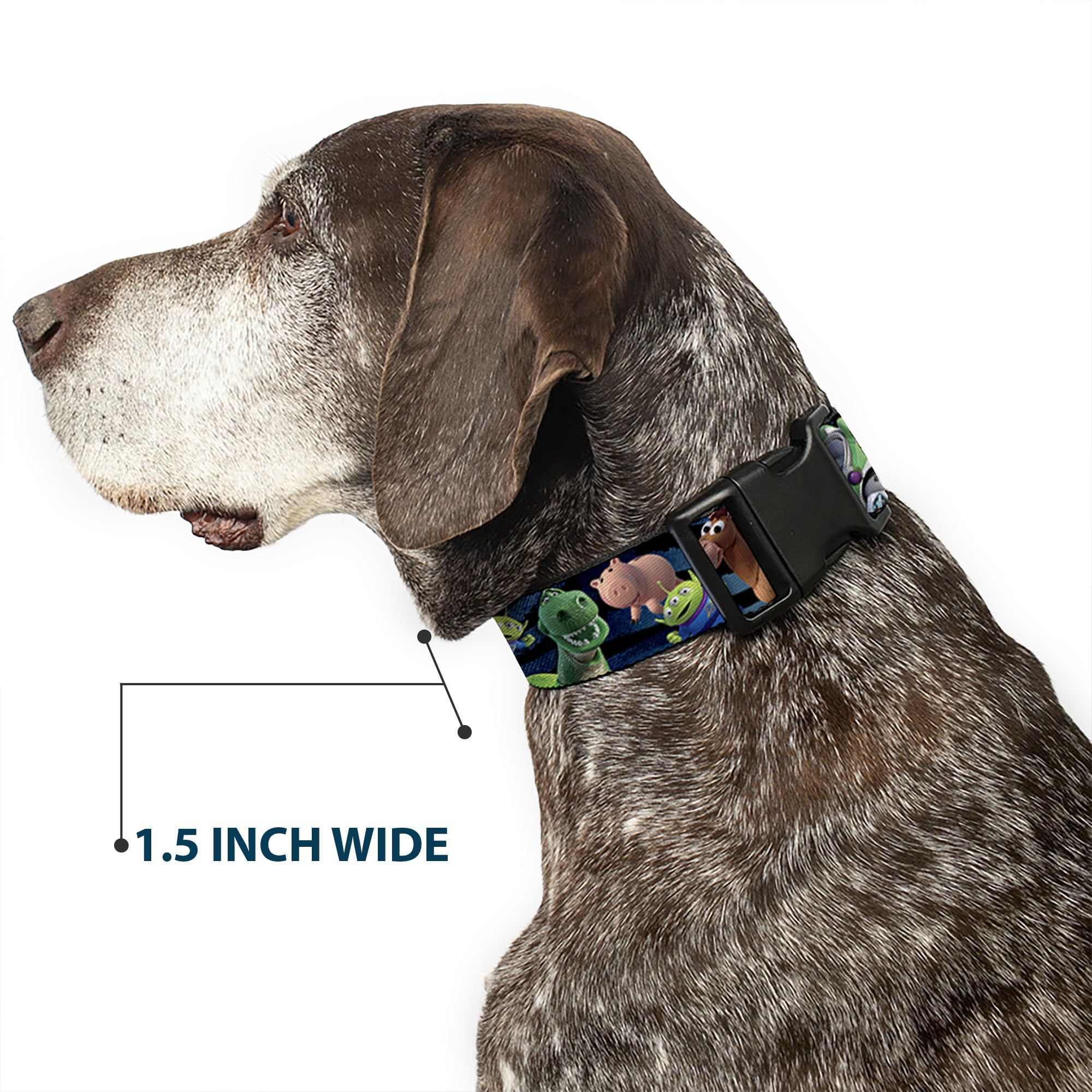 Buckle-Down vibrant polyester fabric collar shows season-long color and comfort
