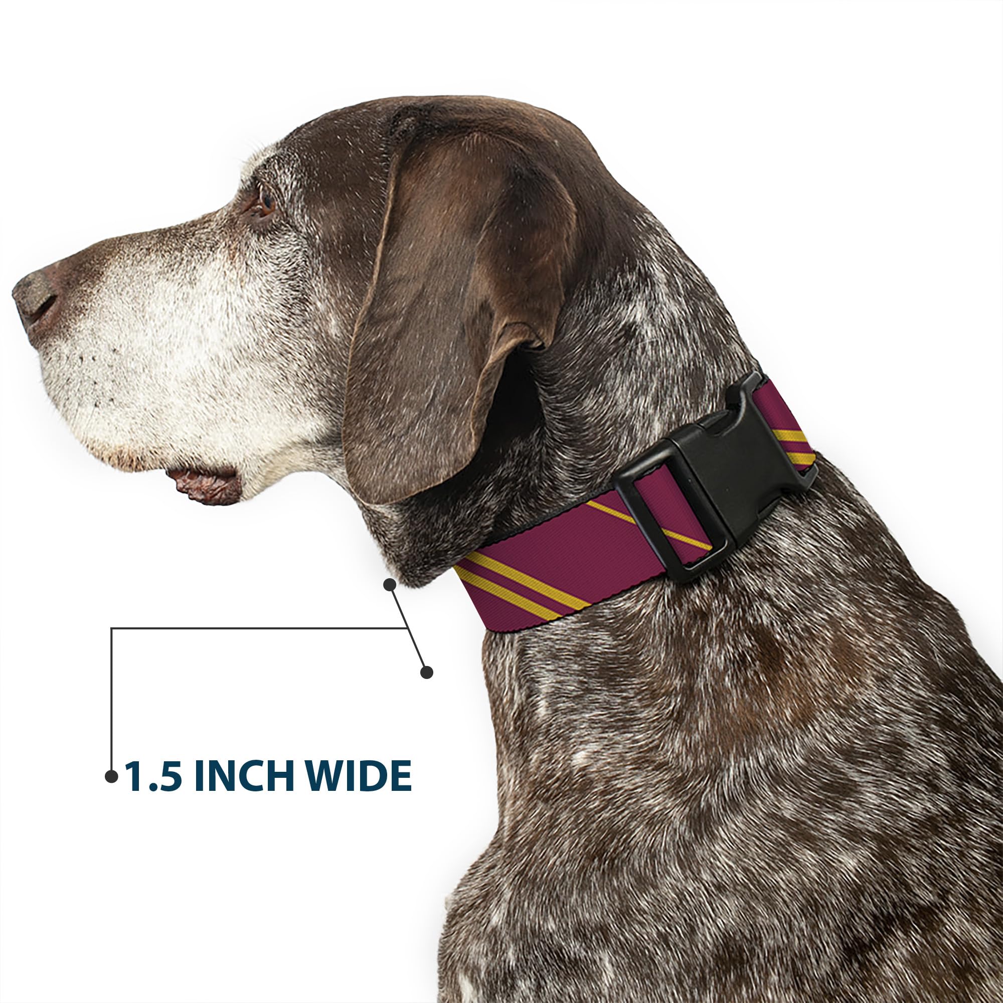 Buckledown Warner Bros collar burgundy-gold stitching adds premium, eye-catching contrast.