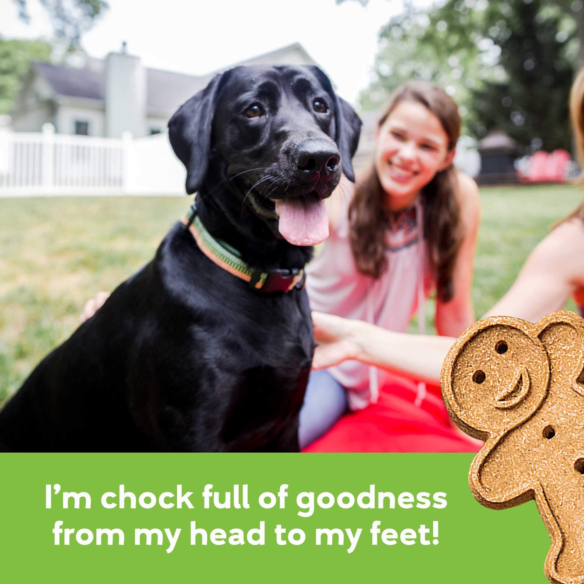 Buddy Biscuits 938072 package highlights low-calorie, on-the-go snack options.