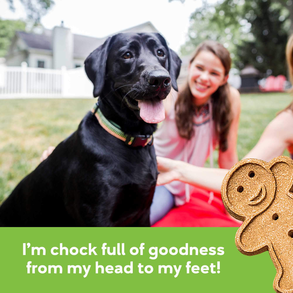Buddy Biscuits 938072 package highlights low-calorie, on-the-go snack options.