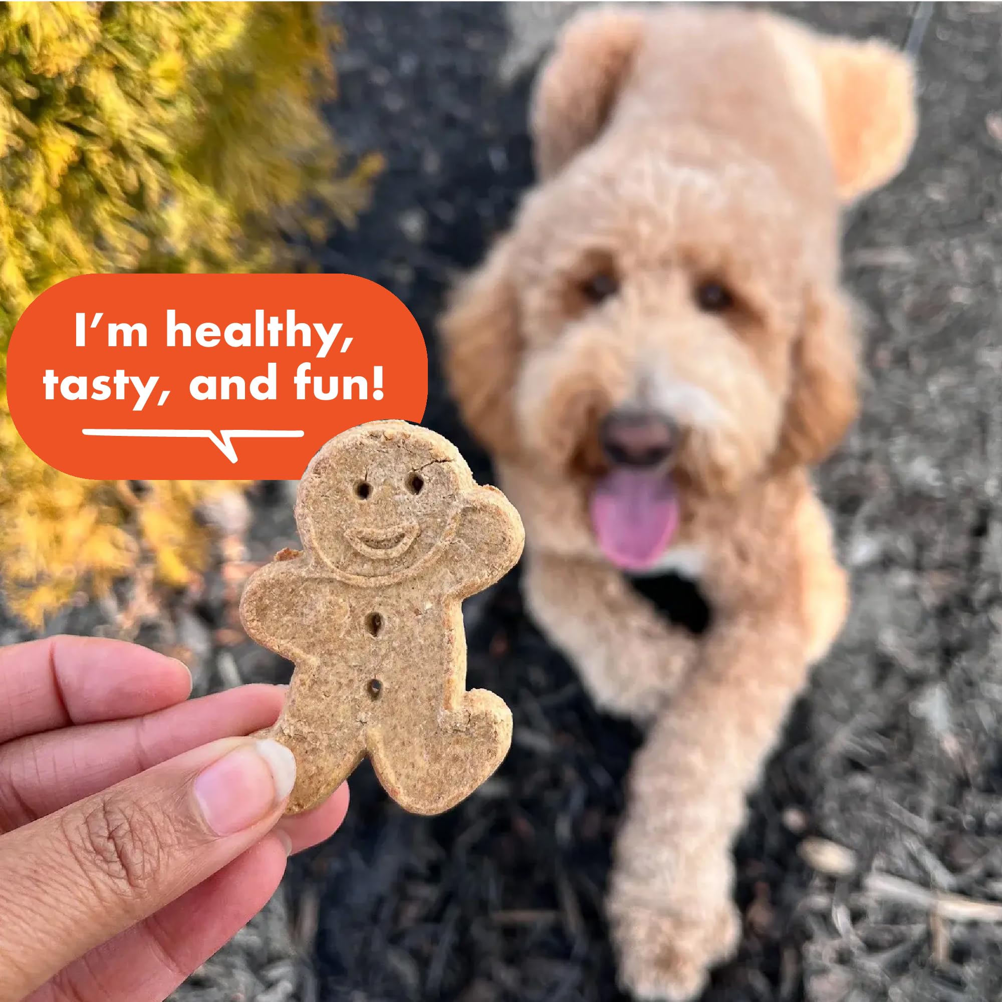 Buddy Biscuits free of corn, soy, artificial flavors and colors—clean ingredient snacking.