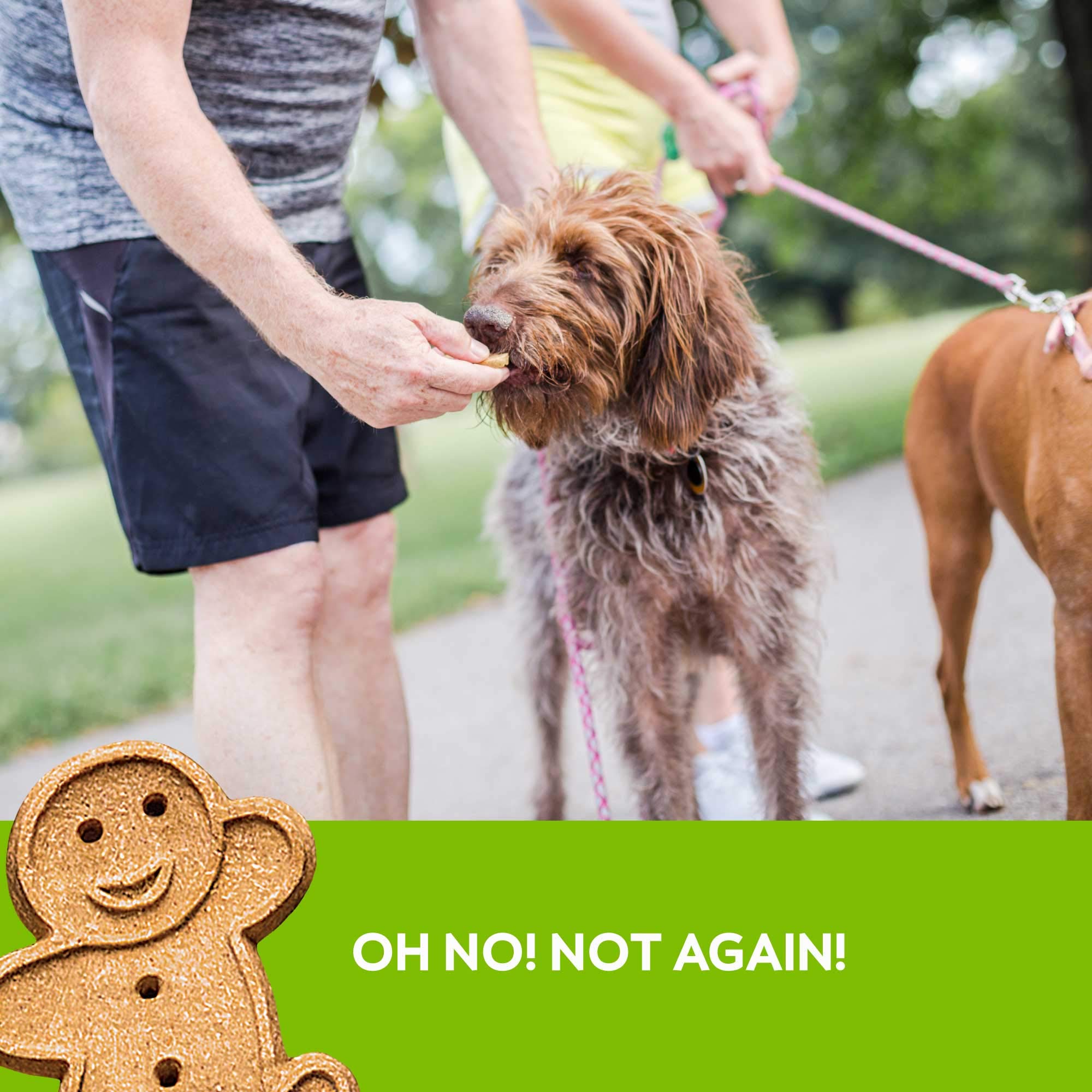 Buddy Biscuits no added corn soy yeast sugar communicates clean ingredient standard