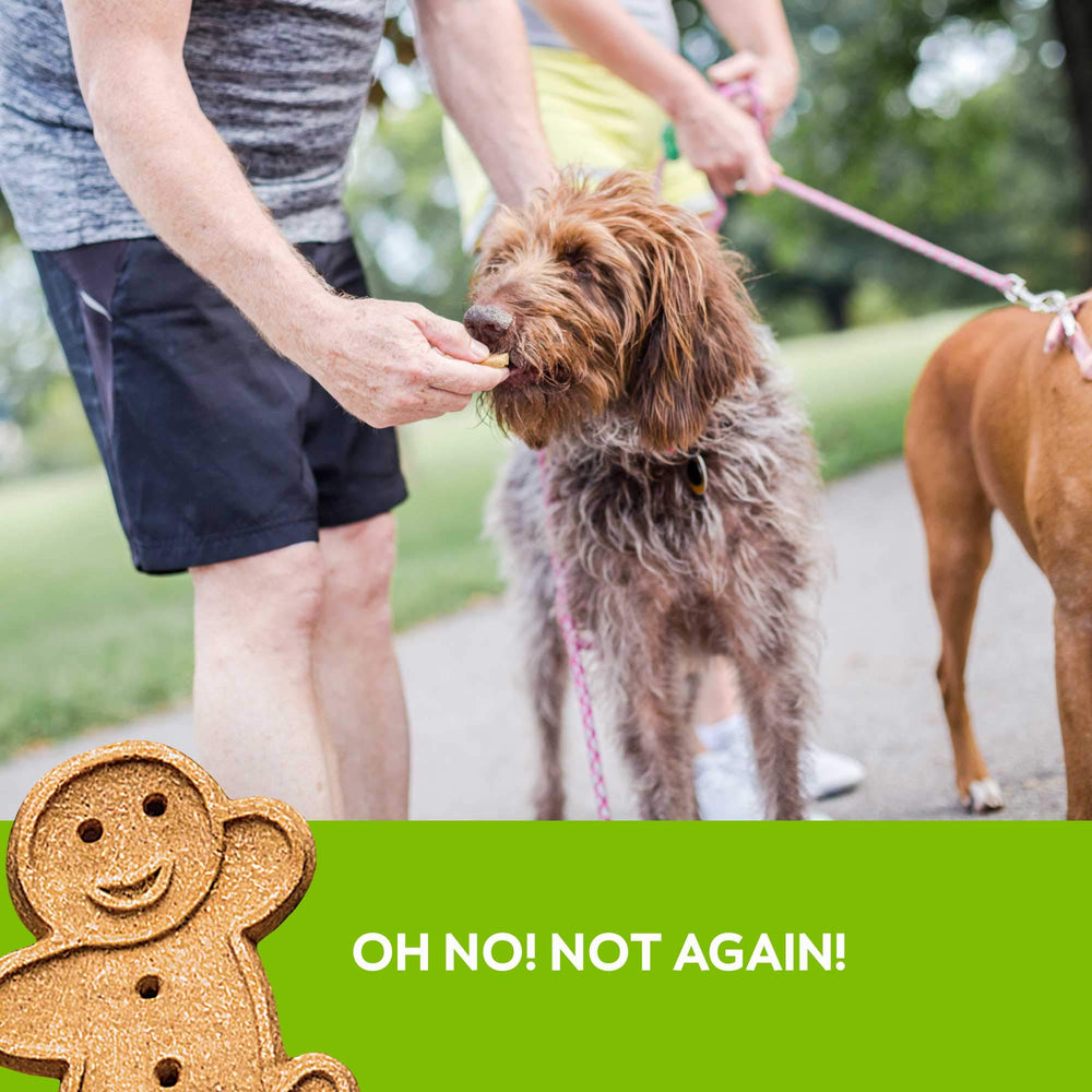 Buddy Biscuits no added corn soy yeast sugar communicates clean ingredient standard