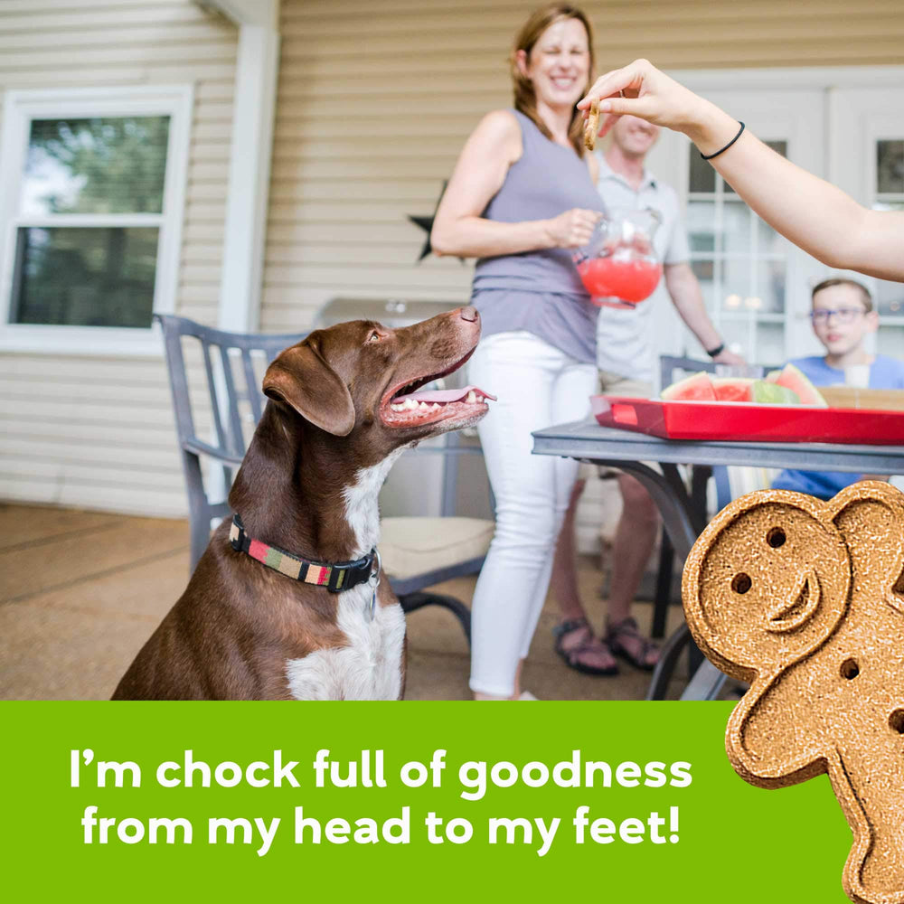 Buddy Biscuits six-pack box showcasing value pack for dog families and daily rewards