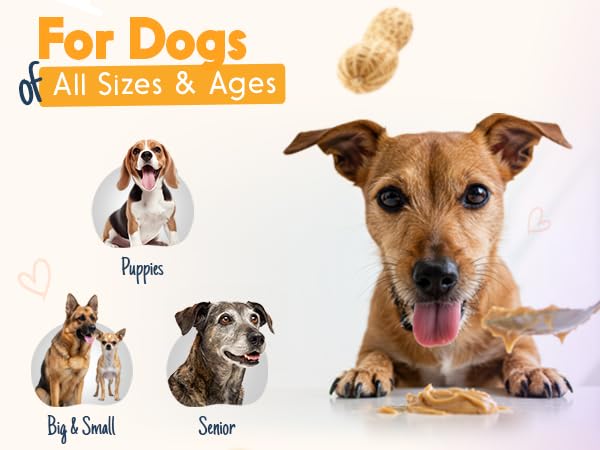 Recetas y golosinas para perros usando Buddy Budder