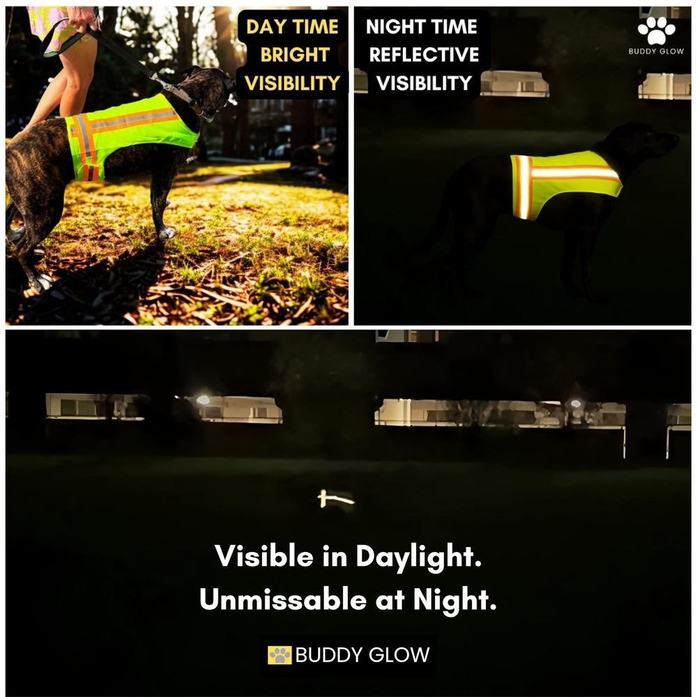 Buddy Glow Reflective Dog Vest X-Small with extended Velcro fit