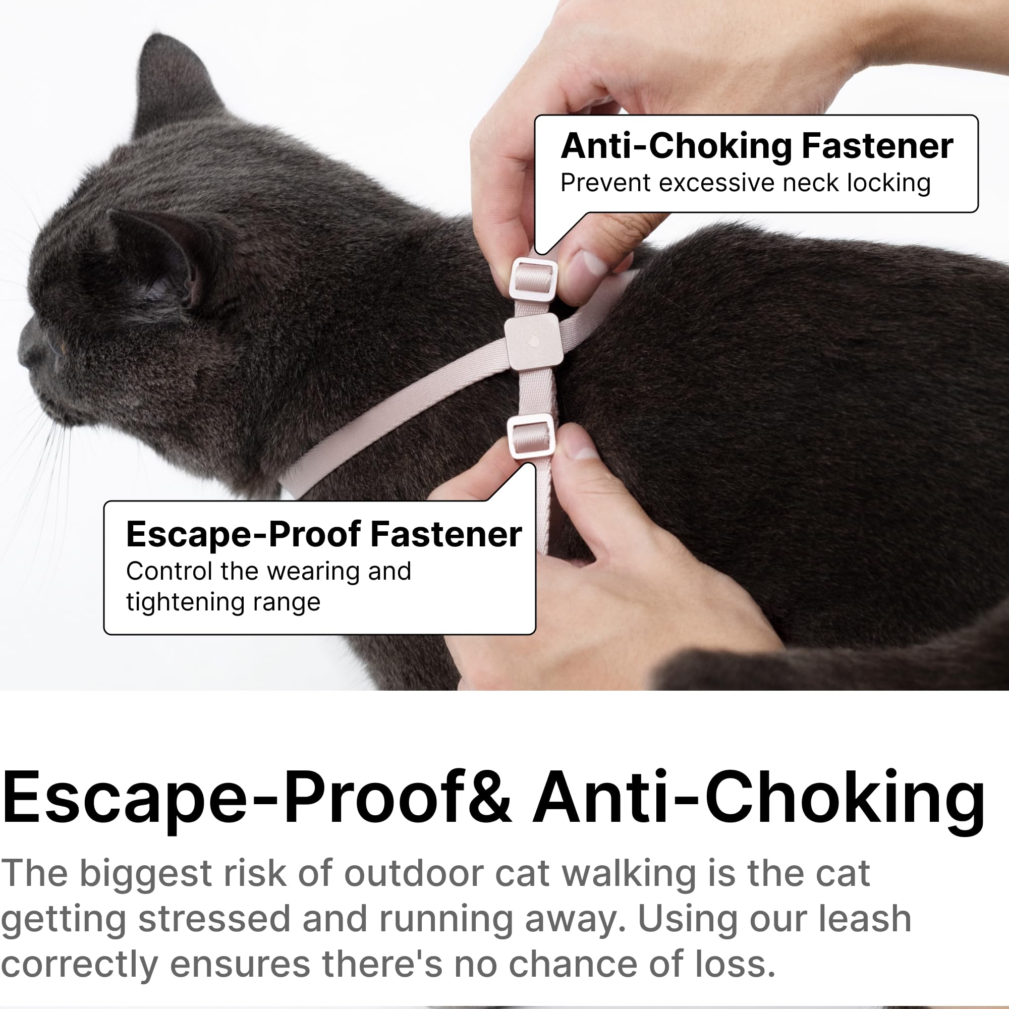 BuddyArmor leash elastic handle closeup highlights smoother pulls and calmer walking sessions