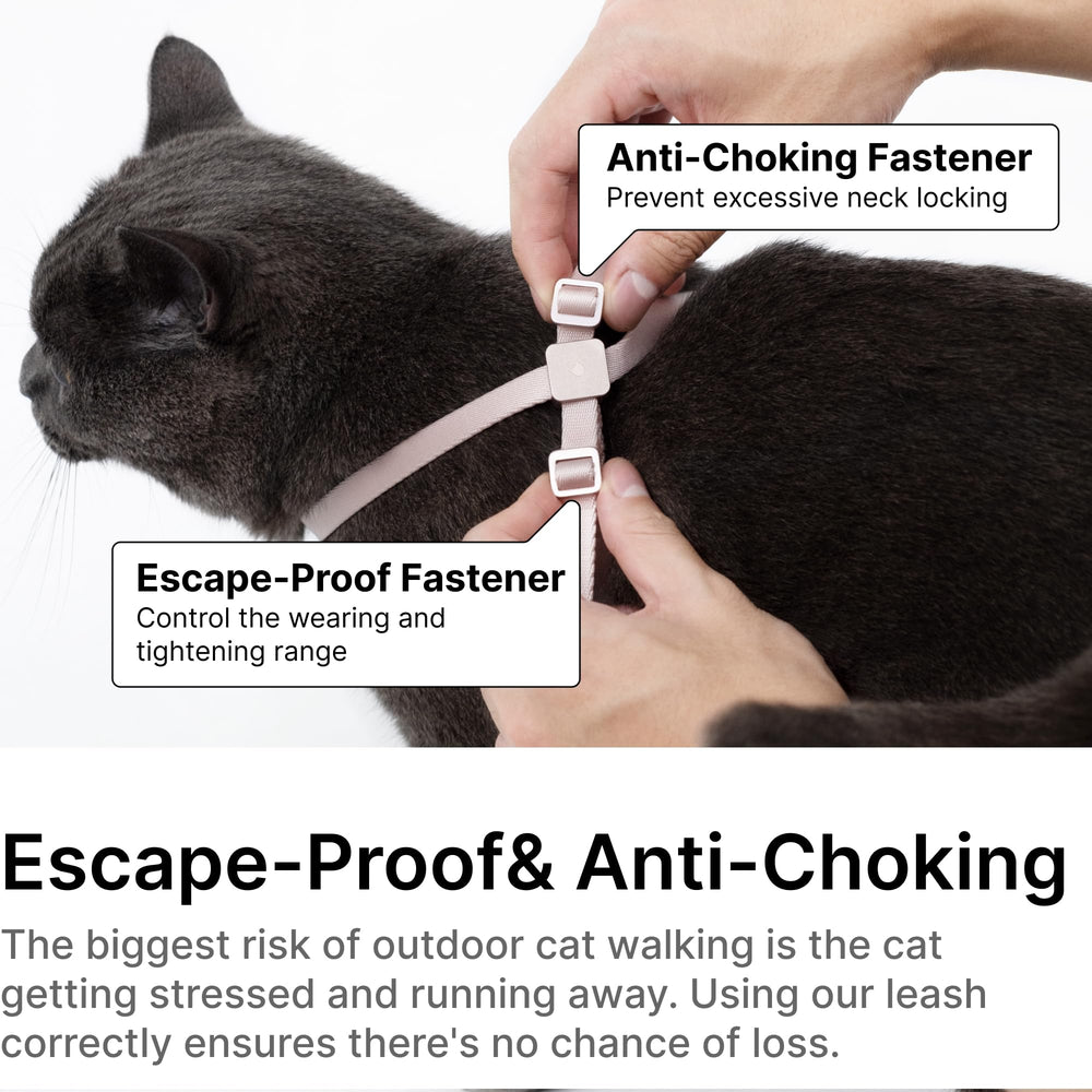 BuddyArmor leash elastic handle closeup highlights smoother pulls and calmer walking sessions