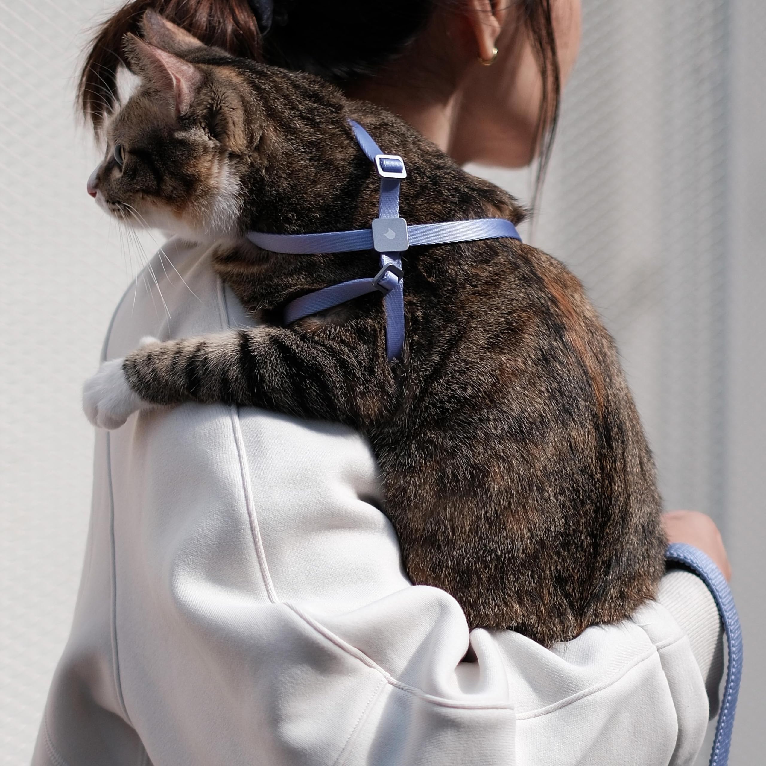 BuddyArmor premium nylon durability showcases long-lasting use in daily cat walks