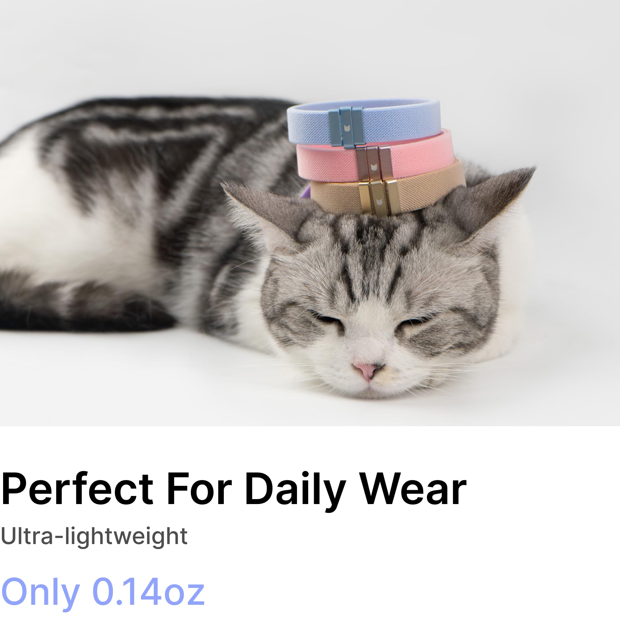 BuddyArmor Safety Cat Collar adjustable fit for kittens through large cats.
