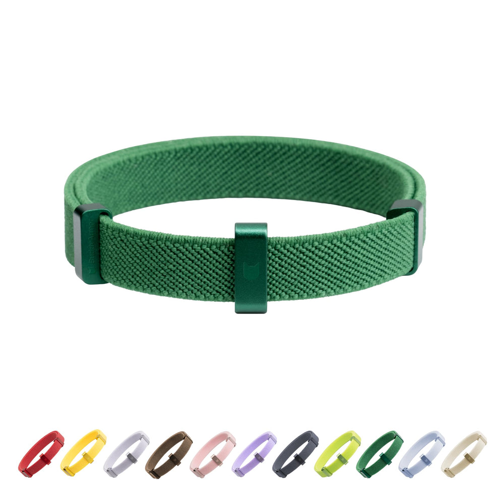 BuddyArmor safety cat collar alpine green on kitten shows lightweight comfort