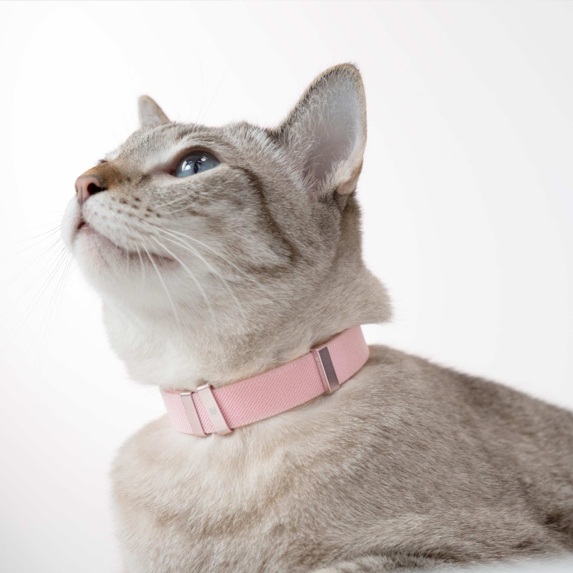 BuddyArmor Safety Cat Collar size guide illustrating kitten to adult fit
