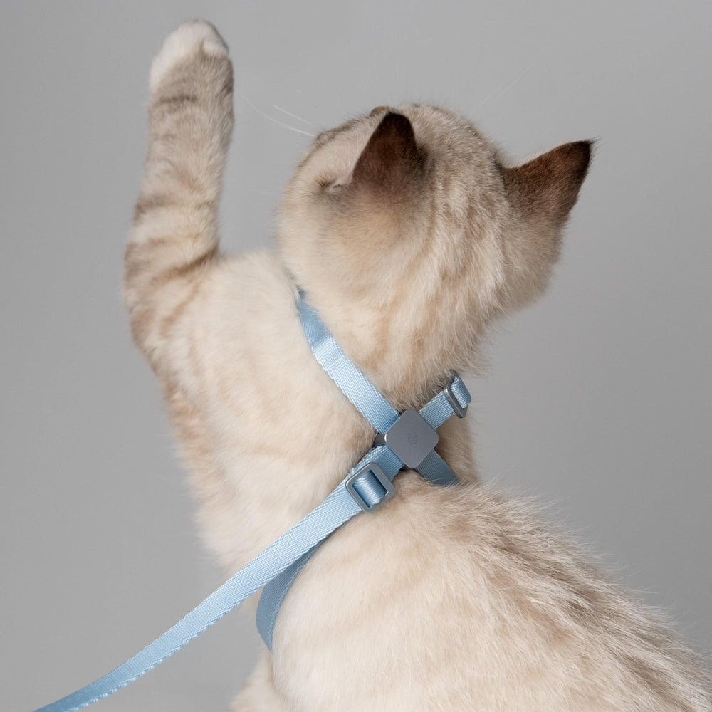 BuddyArmor ultralight harness-2.9oz emphasizes comfort for kittens and small cats
