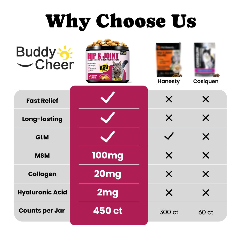 BuddyCheer cat joint supplement jar—daily mobility support